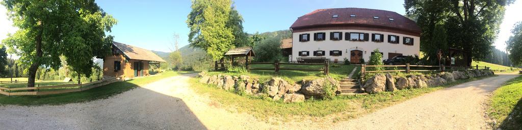 Turisticna Kmetija Toman Vila Gornji Grad Exterior foto