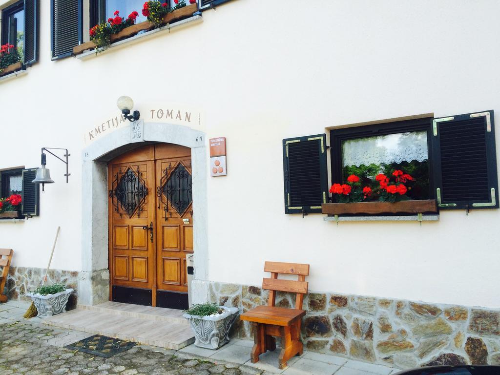 Turisticna Kmetija Toman Vila Gornji Grad Exterior foto