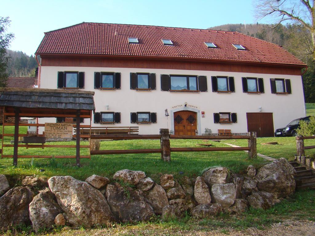 Turisticna Kmetija Toman Vila Gornji Grad Exterior foto