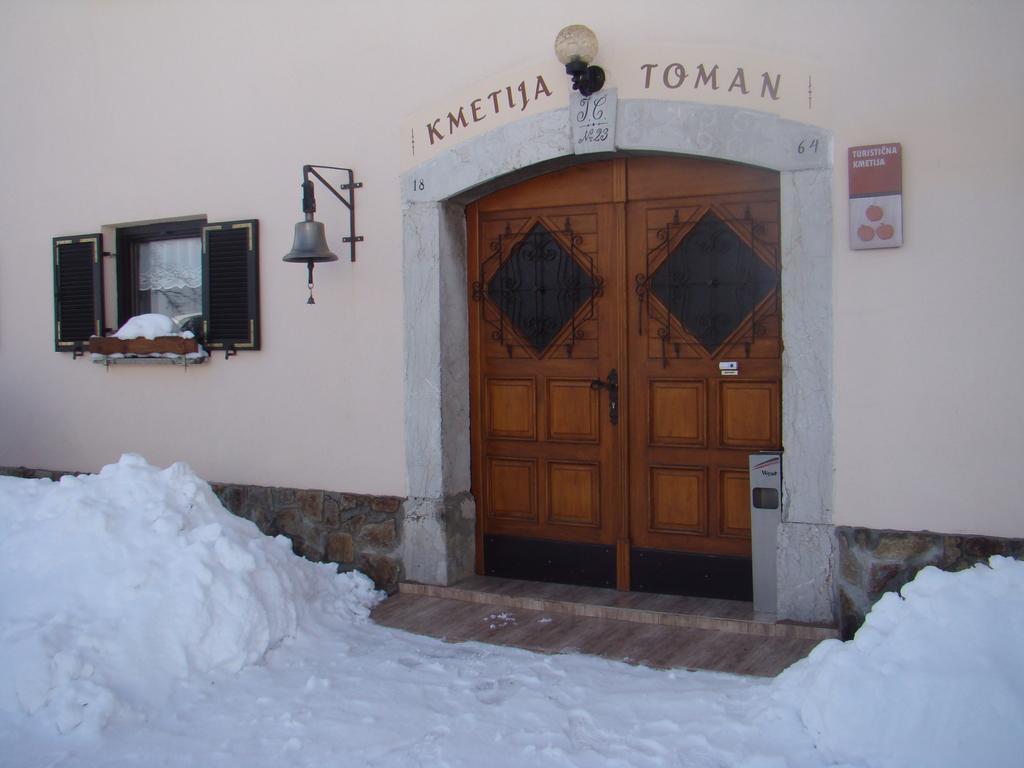 Turisticna Kmetija Toman Vila Gornji Grad Exterior foto