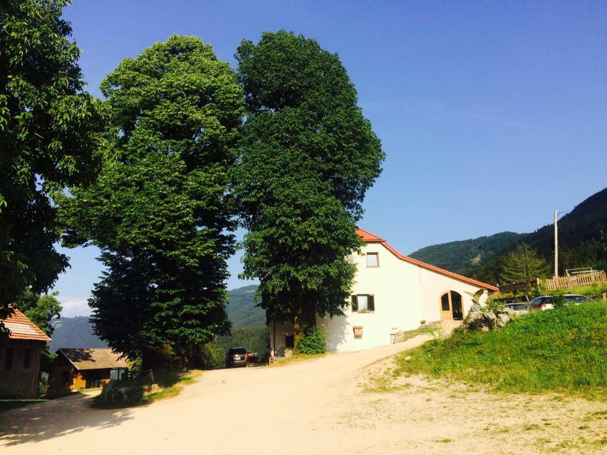 Turisticna Kmetija Toman Vila Gornji Grad Exterior foto