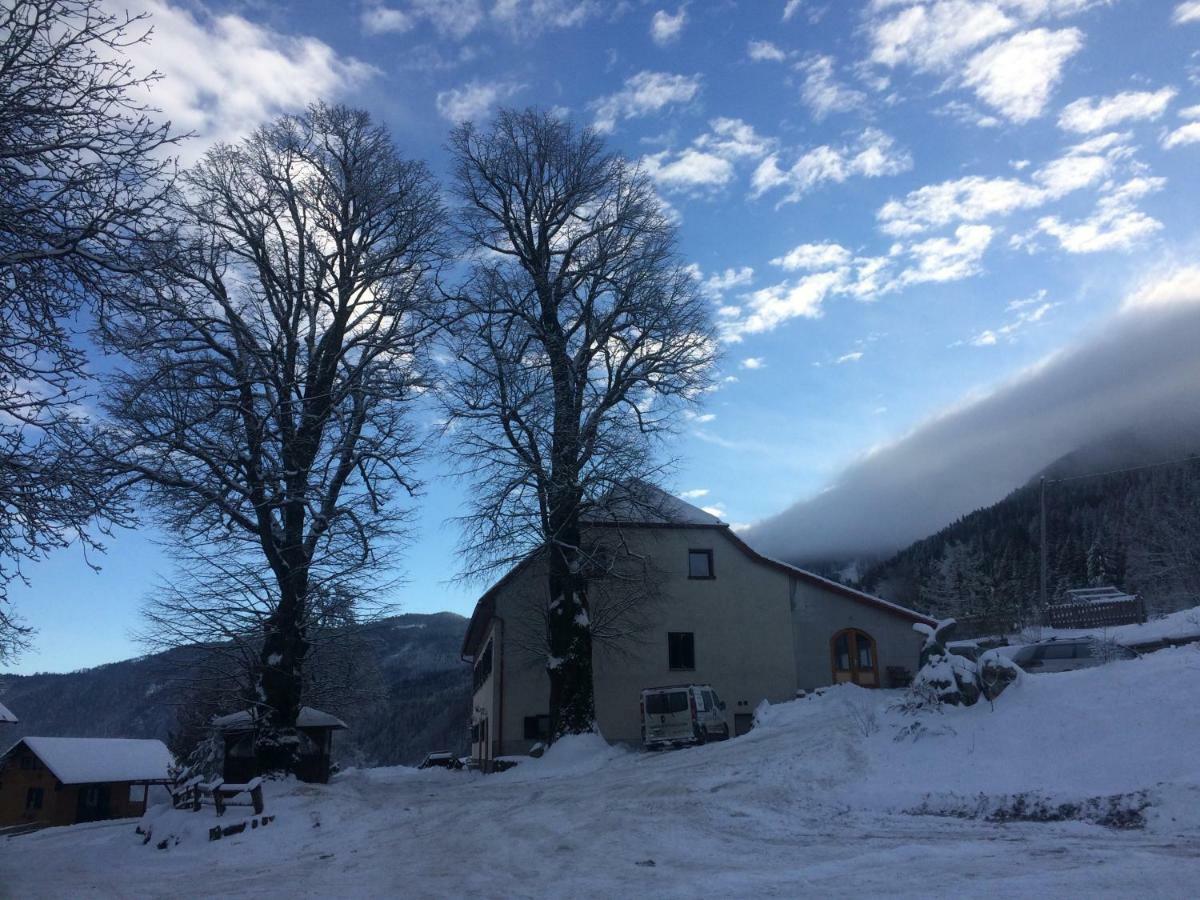 Turisticna Kmetija Toman Vila Gornji Grad Exterior foto