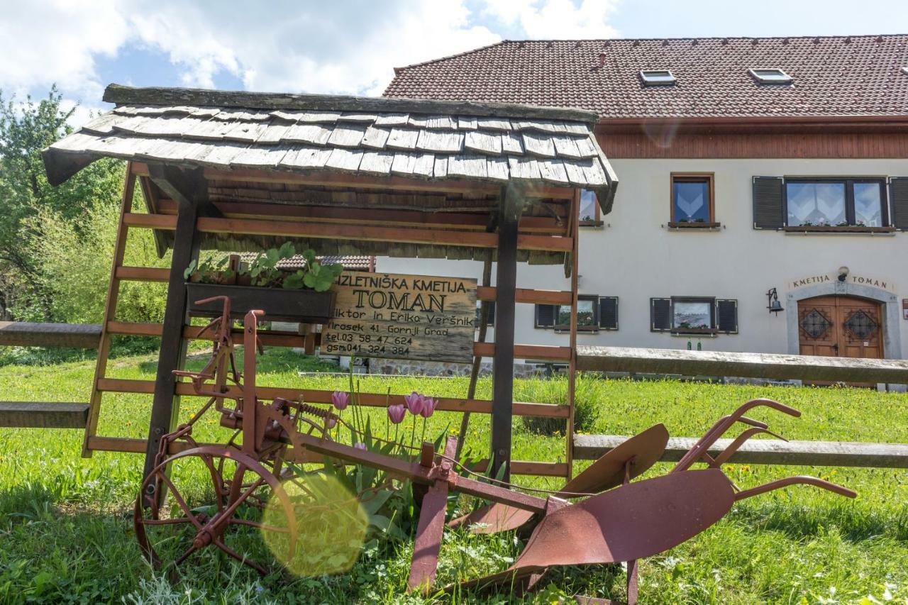 Turisticna Kmetija Toman Vila Gornji Grad Exterior foto