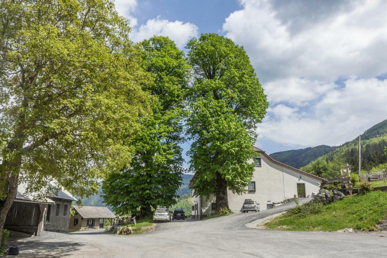 Turisticna Kmetija Toman Vila Gornji Grad Exterior foto