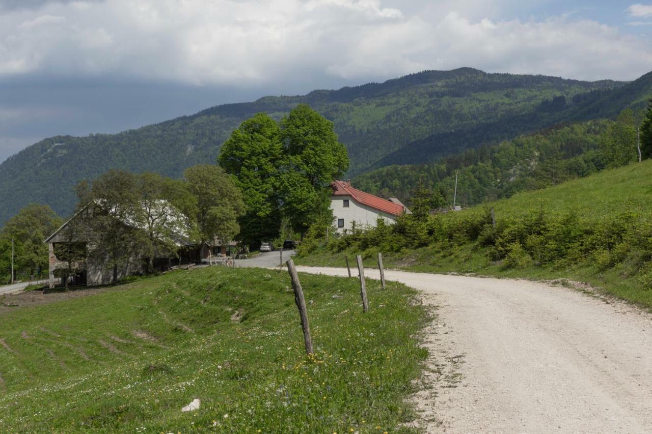 Turisticna Kmetija Toman Vila Gornji Grad Exterior foto