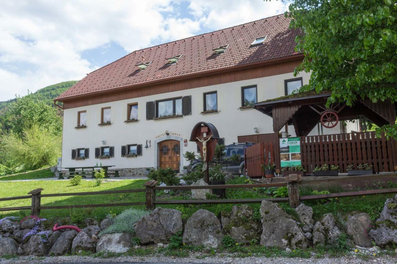 Turisticna Kmetija Toman Vila Gornji Grad Exterior foto